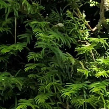 Chris Roe - Community - ScreenSkills