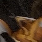 Kevin brady office Kevin brady office