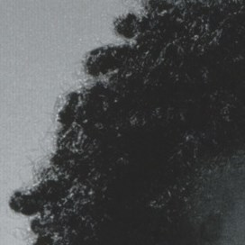 Diane Alison-Mitchell